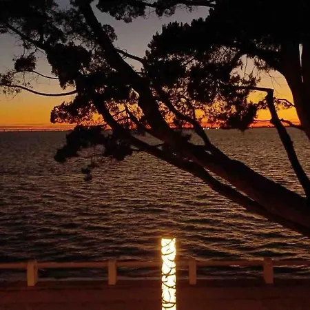 Vue Ile D'oleron * Saint-Trojan-les-Bains