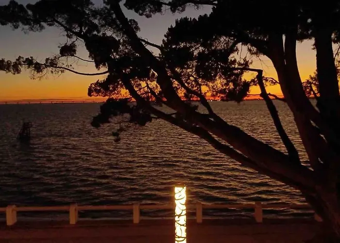 Vue Ile D'oleron * Saint-Trojan-les-Bains